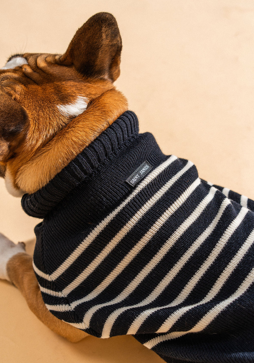 Toutoupull (NAVY/ECUME)