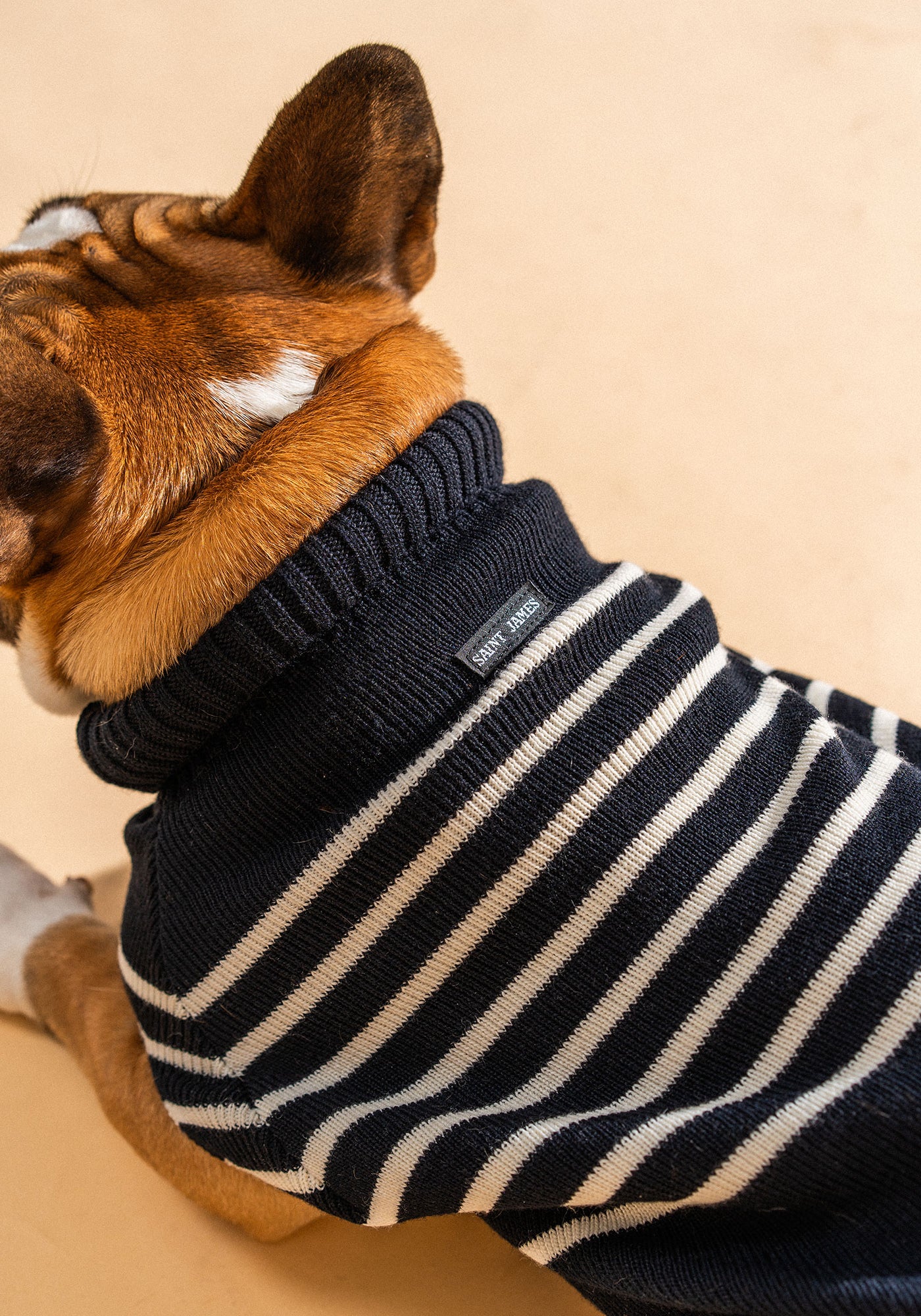Toutoupull (NAVY/ECUME)